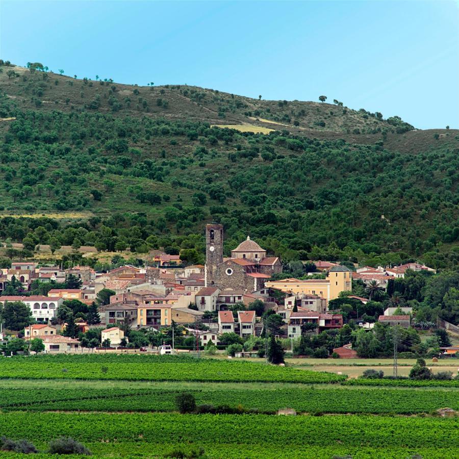 Casa Rural Can Coll Garriguella Kültér fotó